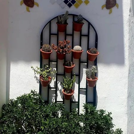 Wonderful White Appartament In Playa Americas דירה *