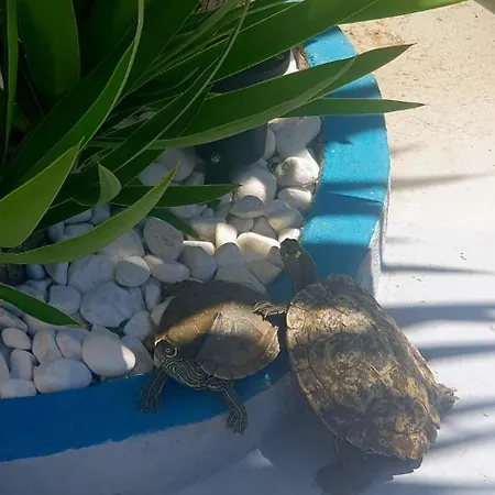 דירה Wonderful White Appartament In Playa Americas