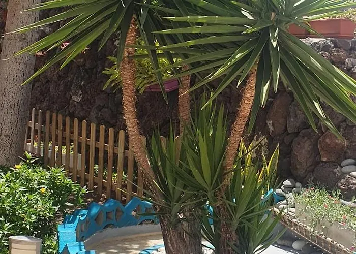 Wonderful White Appartament In Playa Americas Плайя-де-лас-Амерікас