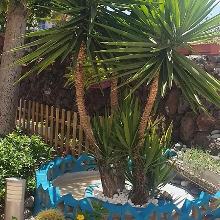 Wonderful White Appartament In Playa Americas بلايا ذي لاس أميريكاس