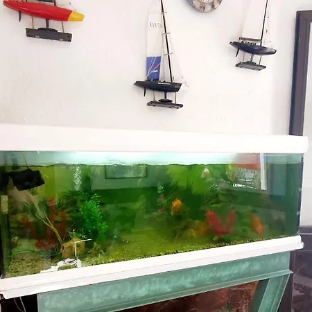 Wonderful White Appartament In Playa Americas 아파트