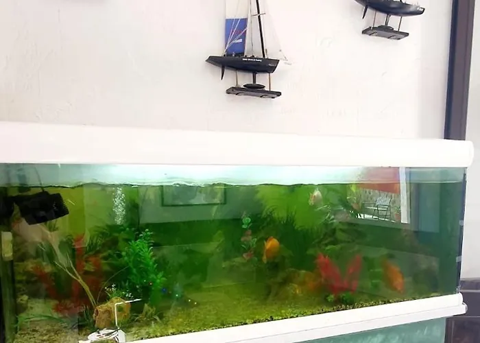 Wonderful White Appartament In Playa Americas Appartamento