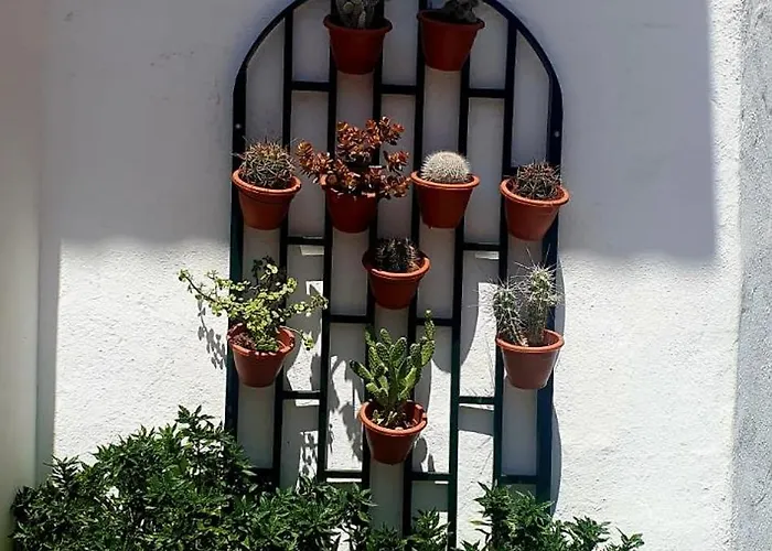 Wonderful White Appartament In Playa Americas Appartamento *