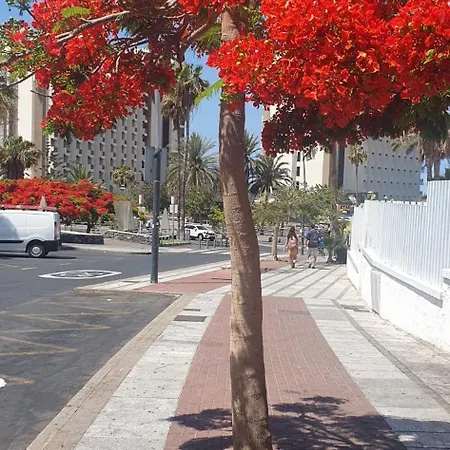 Wonderful White Appartament In Playa Americas